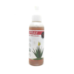 Gel D'ALOE VERA en spray bio